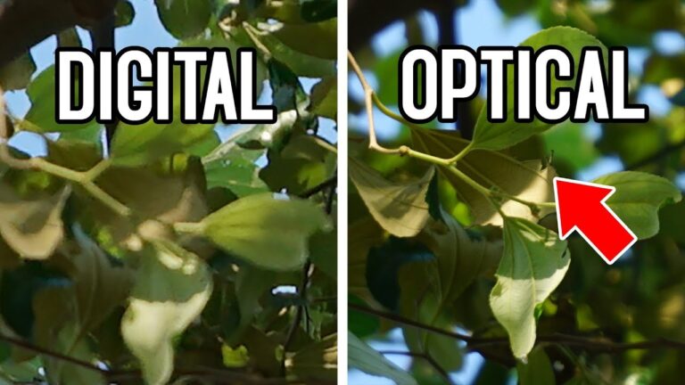 Digital vs Optical zoom